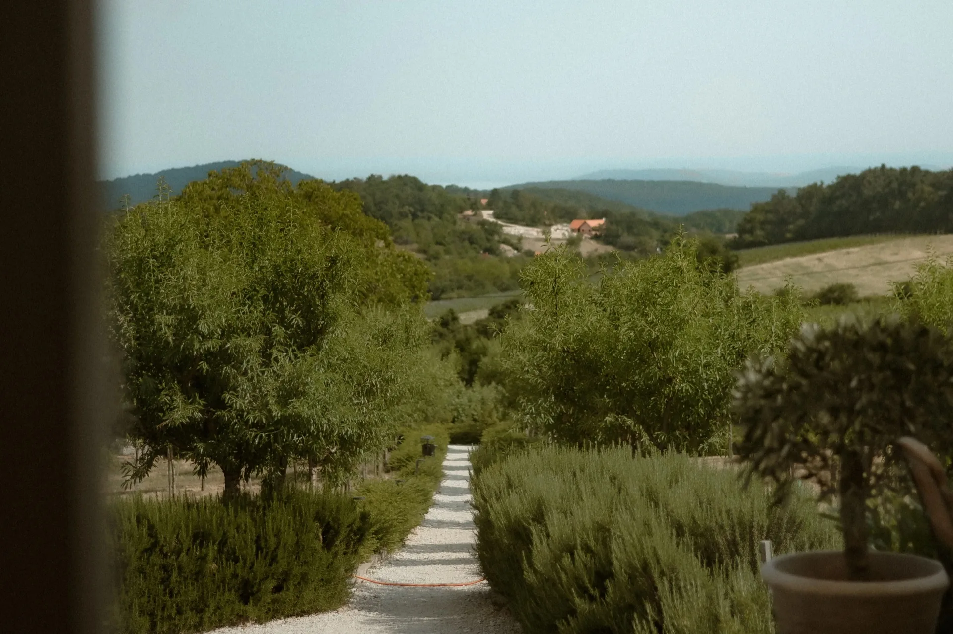 Mediterrán Kert