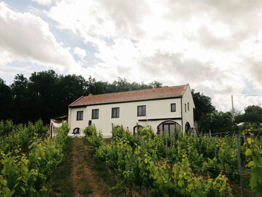 A Nest Cottage különálló vendégháza a szőlősorok között
